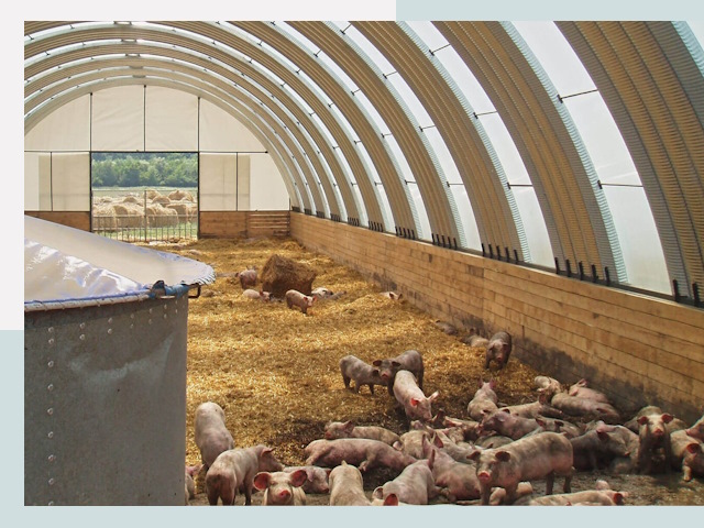 Строительство свинарников в Пушкине