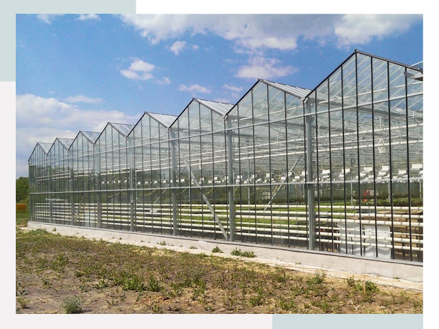 Строительство теплиц в Пушкин от 649 руб. за м²