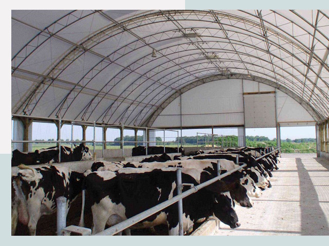 Тентовые коровники в Пушкине